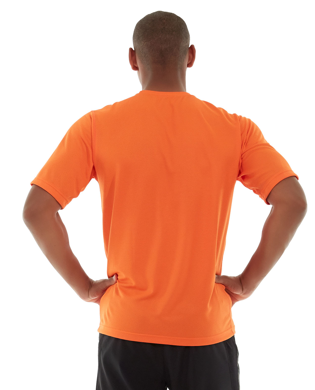 ms04-orange_back.jpg