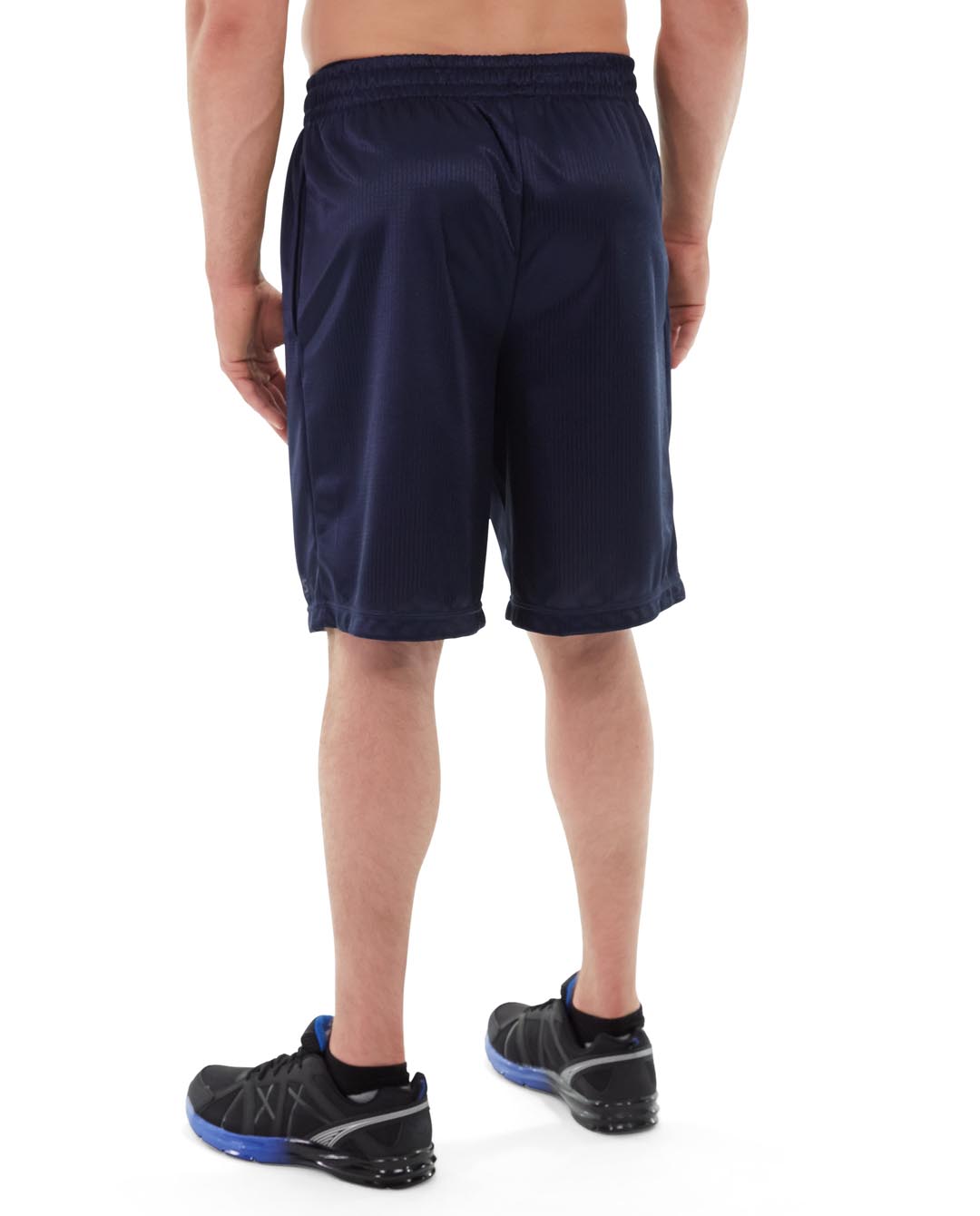 msh09-blue_back.jpg